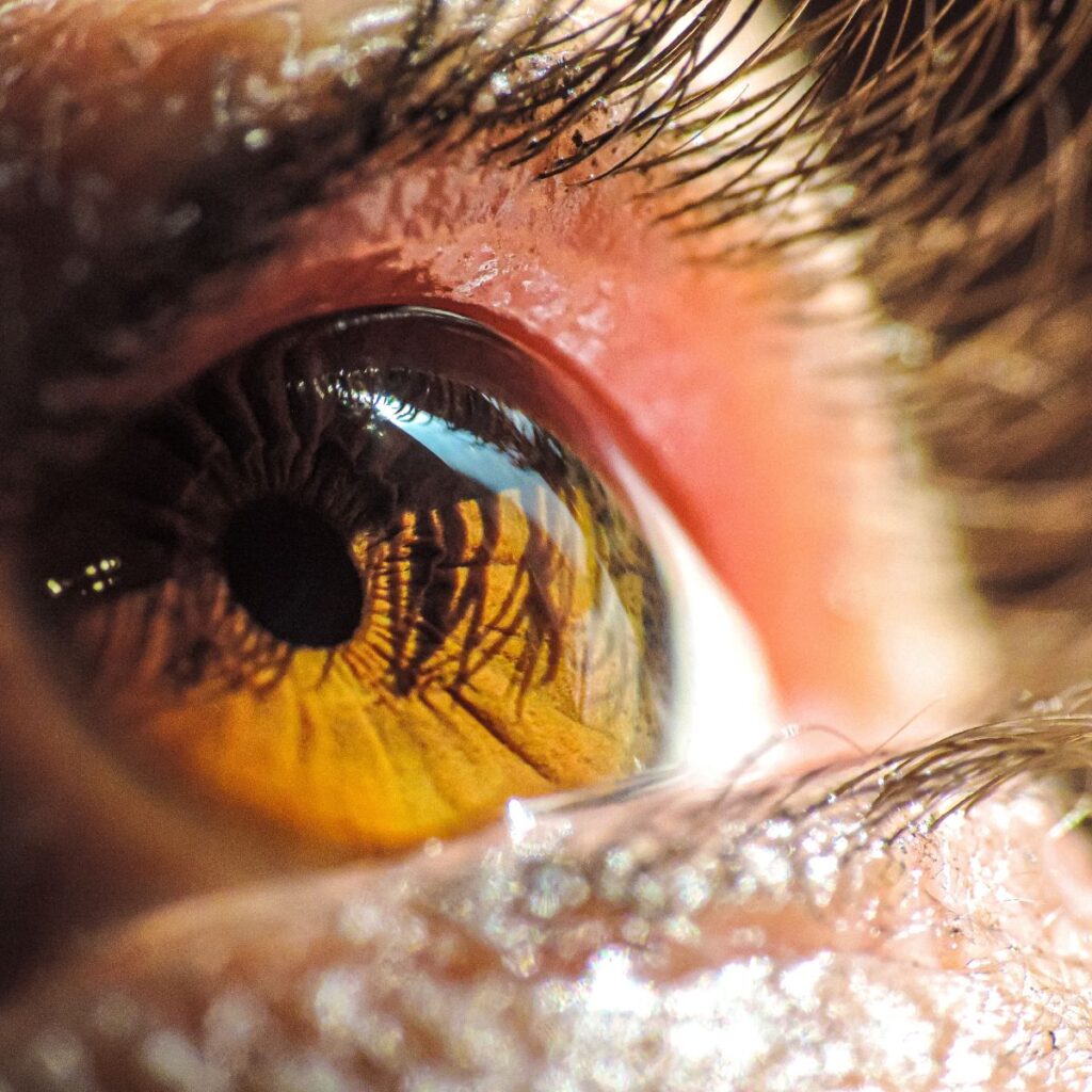 tanzeel stock photos (2) tanzeel stock photos (2)